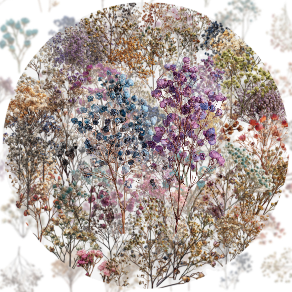 Dried Flower Bulk - 50PCS Retro Color Dried Flower Starry