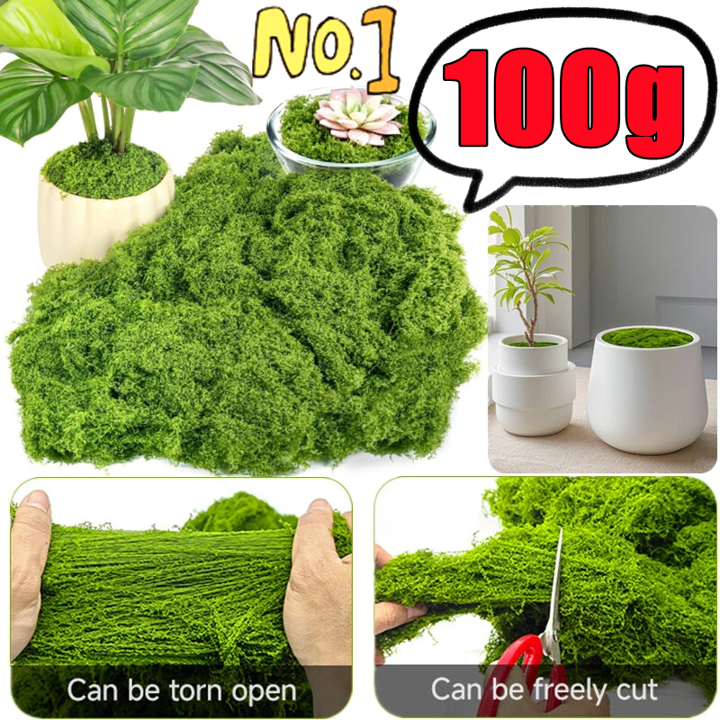 Terrarium Moss Art - 30/50/100g Fake Green Moss Artificial Plants