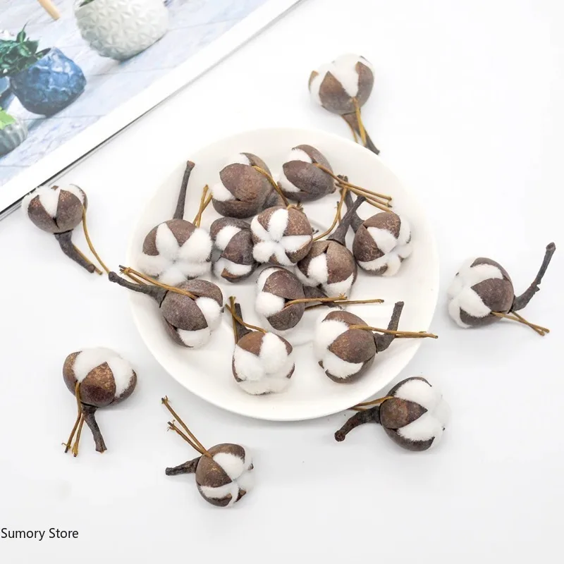 Dried Flower Bulk - 12 Artificial Kapok Natural Dried Flowers