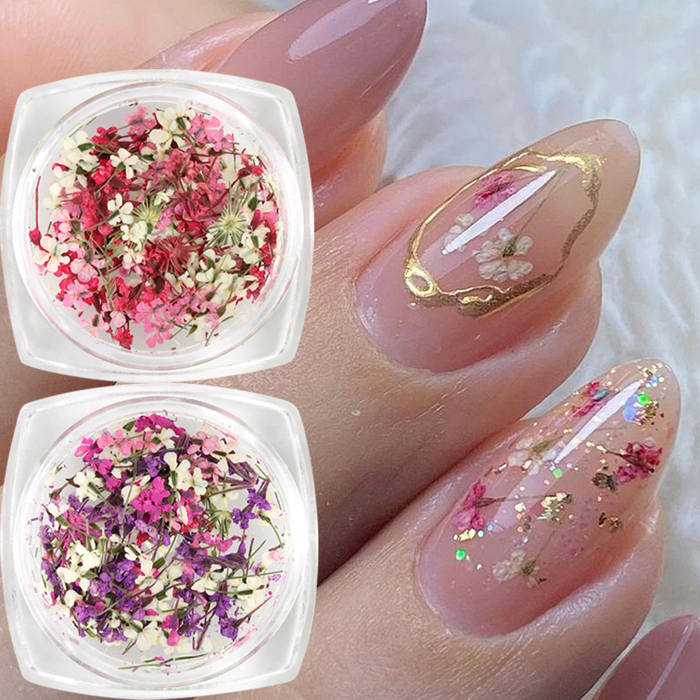 Mixed Colors Gypsophila False  - Dried Flower Bulk บทวิจารณ์และราคา