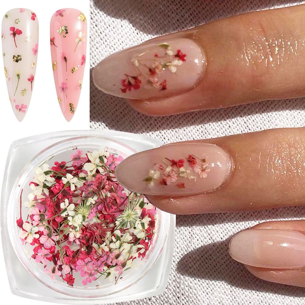 Mixed Colors Gypsophila False  - Dried Flower Bulk บทวิจารณ์และราคา
