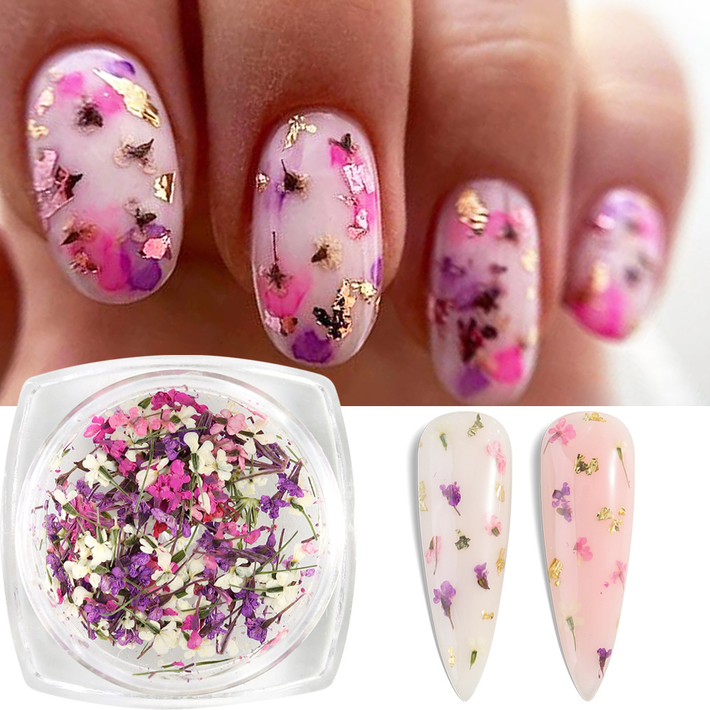 Mixed Colors Gypsophila False  - Dried Flower Bulk บทวิจารณ์และราคา
