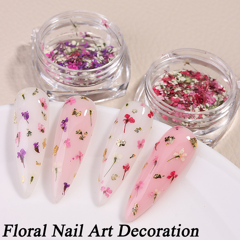 Mixed Colors Gypsophila False  - Dried Flower Bulk บทวิจารณ์และราคา