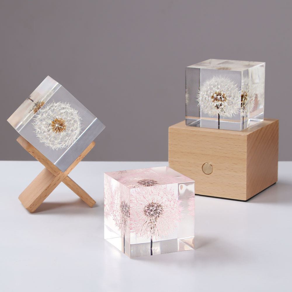 Dandelion preserved fresh flow - Flower Preservation Resin บทวิจารณ์และราคา