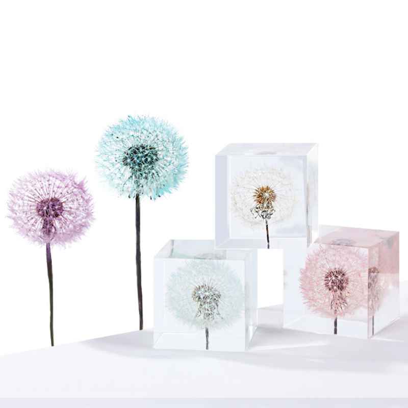 Dandelion preserved fresh flow - Flower Preservation Resin บทวิจารณ์และราคา