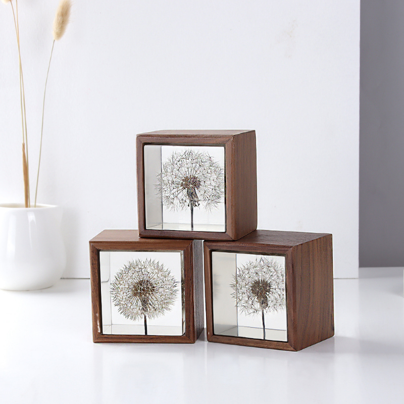 Dandelion preserved fresh flow - Flower Preservation Resin บทวิจารณ์และราคา