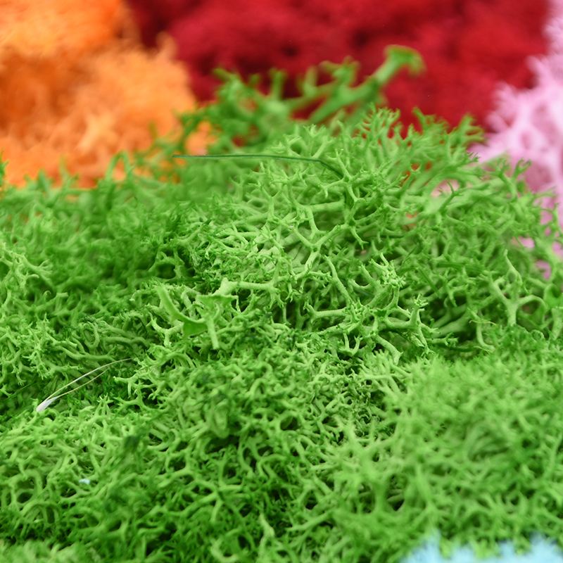 20/40g Artificial Green Plants - Terrarium Moss Art บทวิจารณ์และราคา