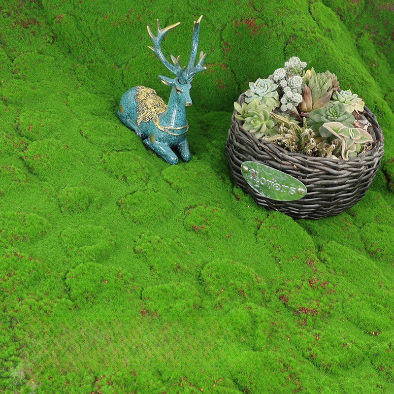 Artificial Turf Moss Simulatio - Terrarium Moss Art บทวิจารณ์และราคา