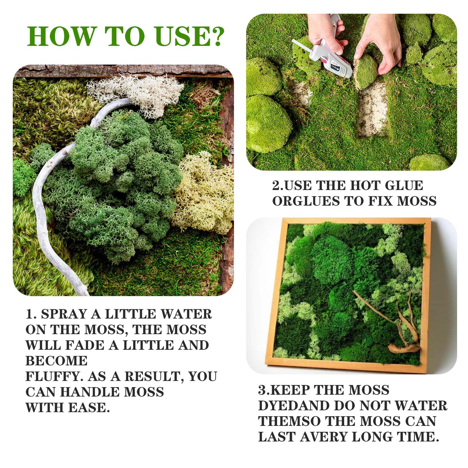 Artificial Green Plants Eterna - Terrarium Moss Art บทวิจารณ์และราคา