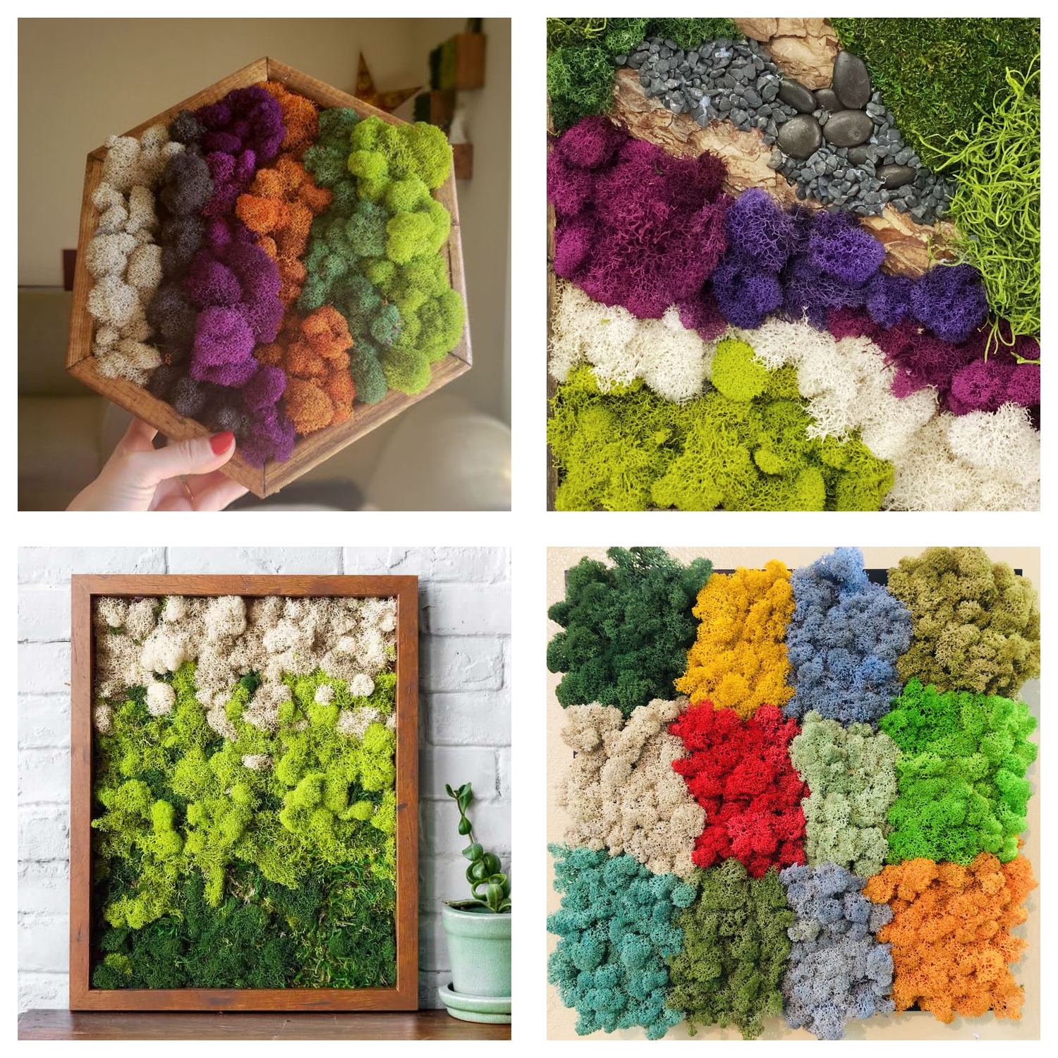 Artificial Green Plants Eterna - Terrarium Moss Art บทวิจารณ์และราคา