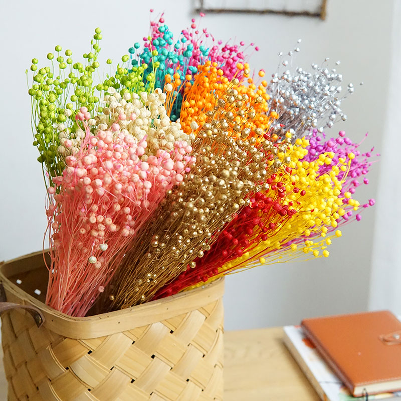 35g/Preserved Ormosia Hosiei N - Dried Flower Bulk บทวิจารณ์และราคา