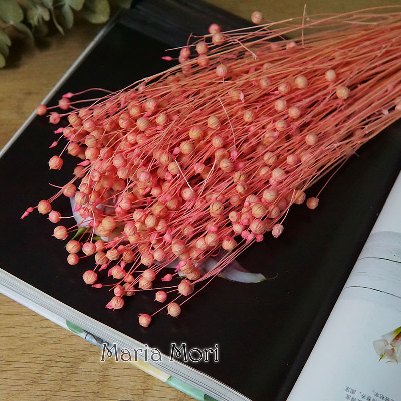 35g/Preserved Ormosia Hosiei N - Dried Flower Bulk บทวิจารณ์และราคา
