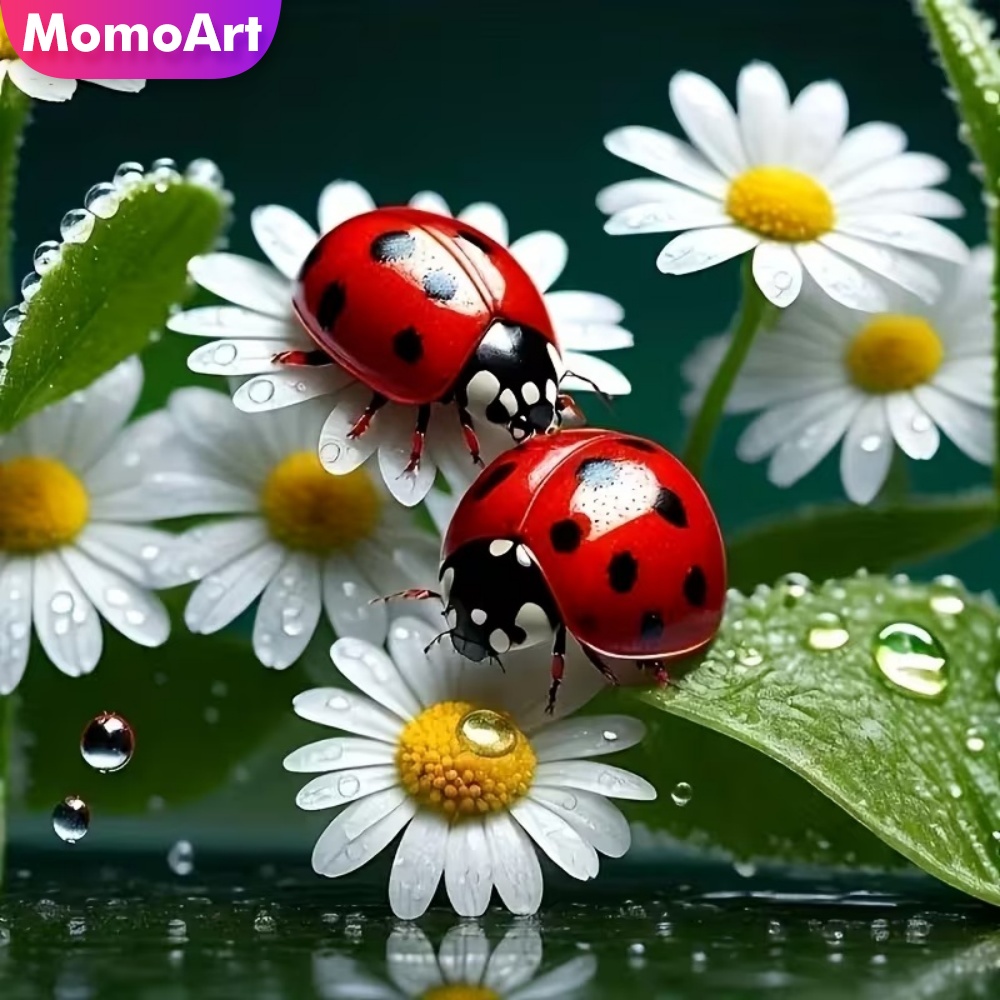 Momoart Diamond Painting Ladyb - Resin Craft For Beginners บทวิจารณ์และราคา