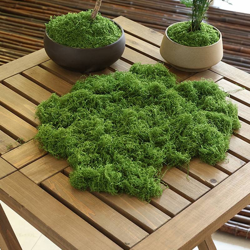 about 20g Artificial Green Pla - Terrarium Moss Art บทวิจารณ์และราคา