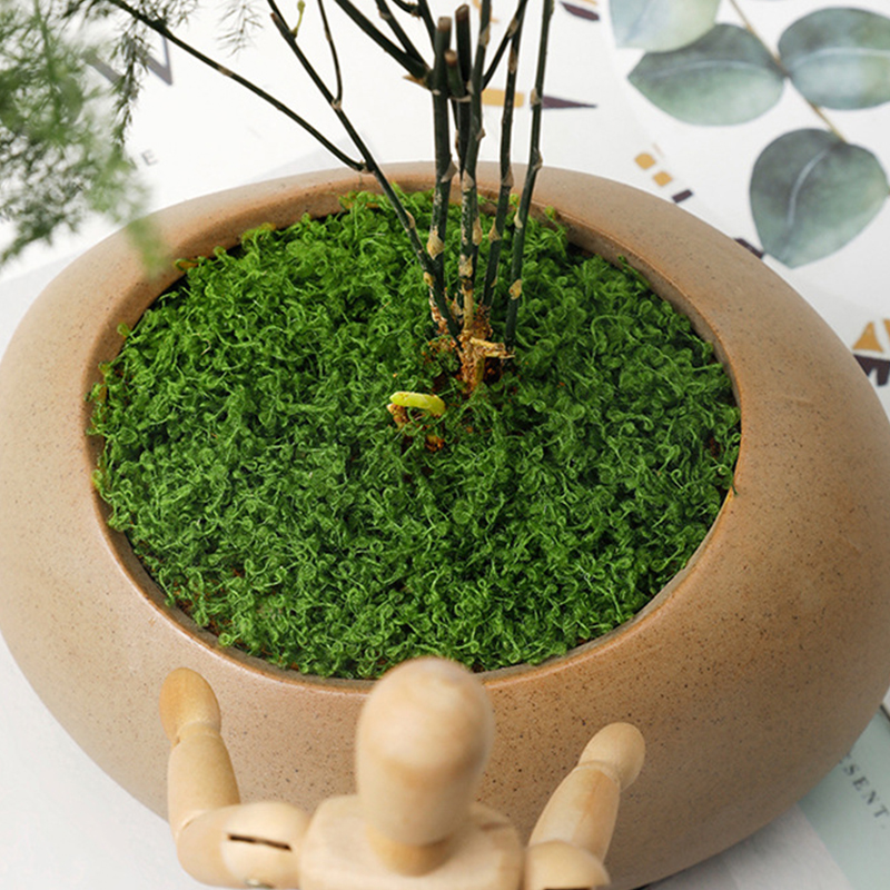 about 20g Artificial Green Pla - Terrarium Moss Art บทวิจารณ์และราคา