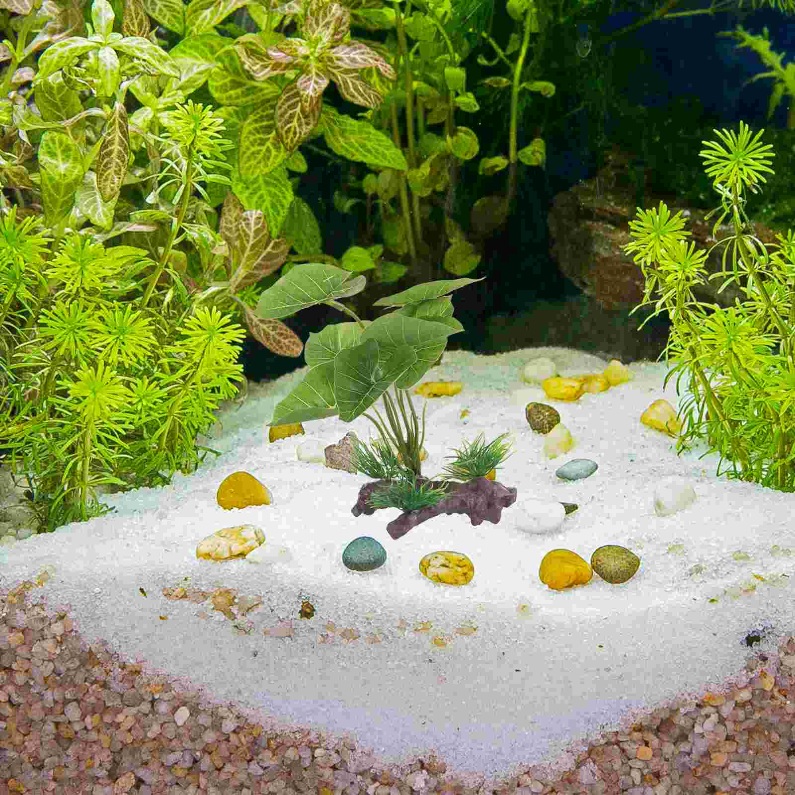 Fish Tank Artificial Water Pla - Terrarium Moss Art บทวิจารณ์และราคา