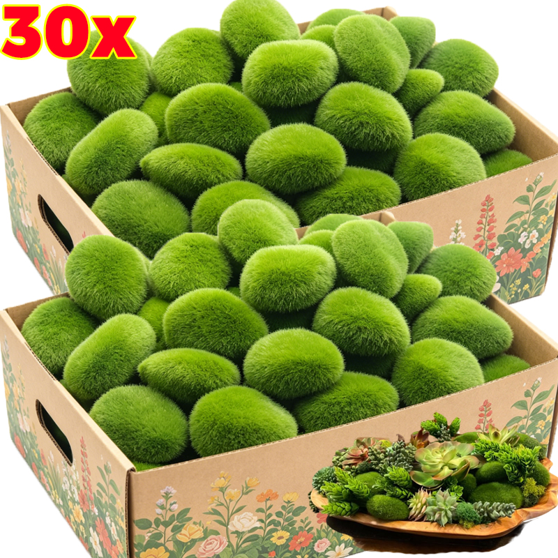 5/30pcs Simulation Moss Stone  - Terrarium Moss Art บทวิจารณ์และราคา