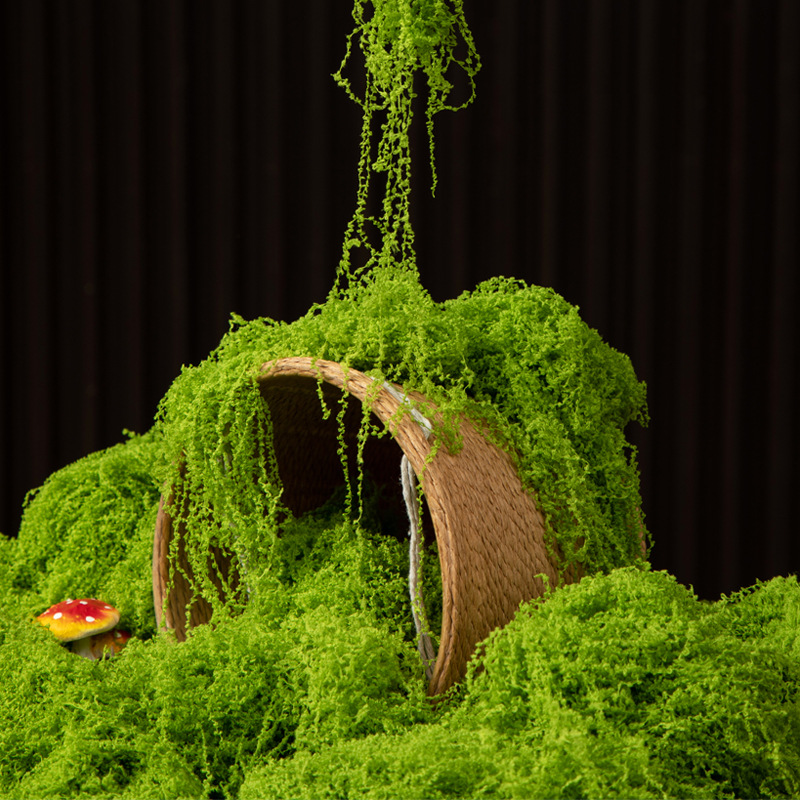 200g Eternal Life Moss DIY Cra - Terrarium Moss Art บทวิจารณ์และราคา