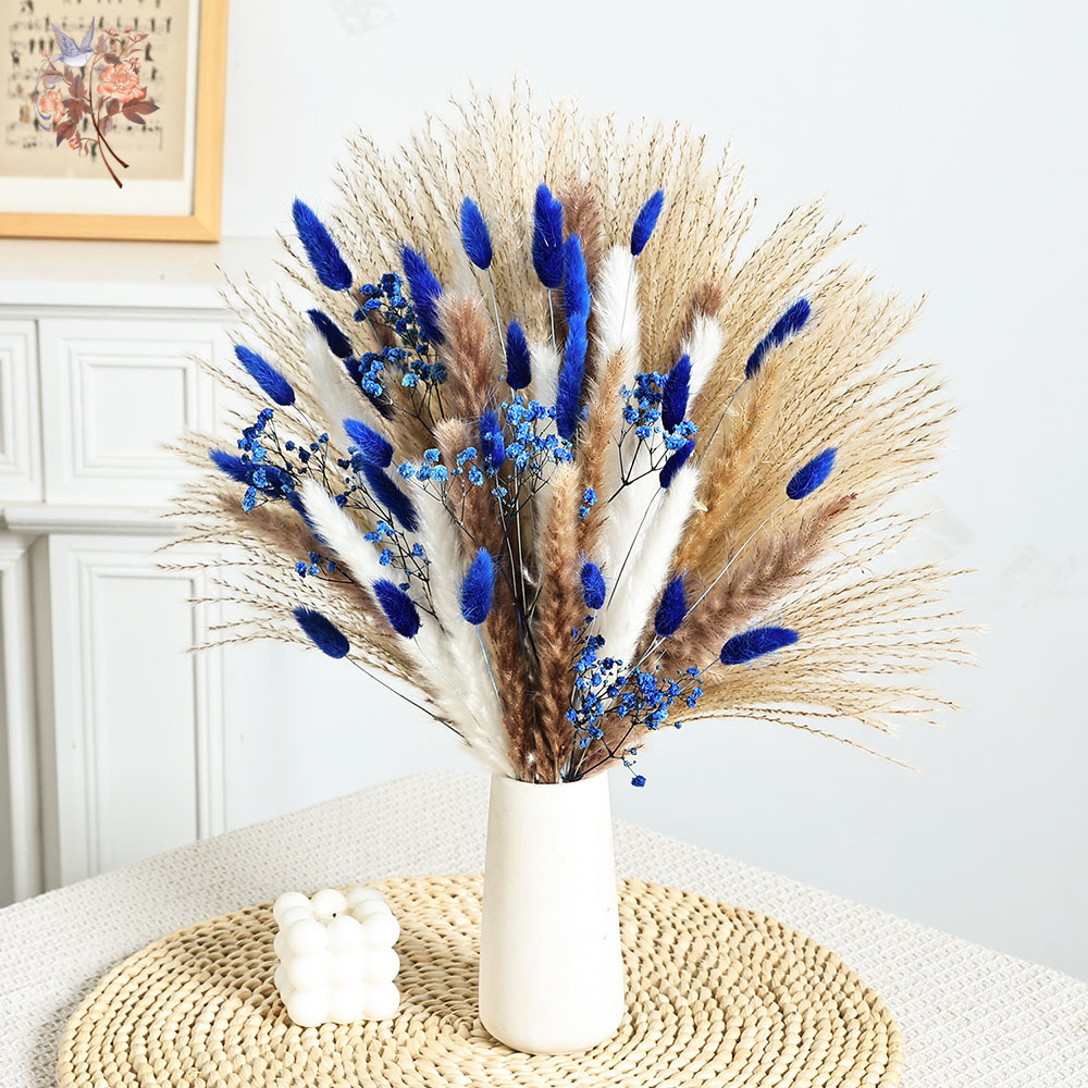 70 Stem Blue Fluffly Rabbit Ta - Dried Flower Bulk บทวิจารณ์และราคา