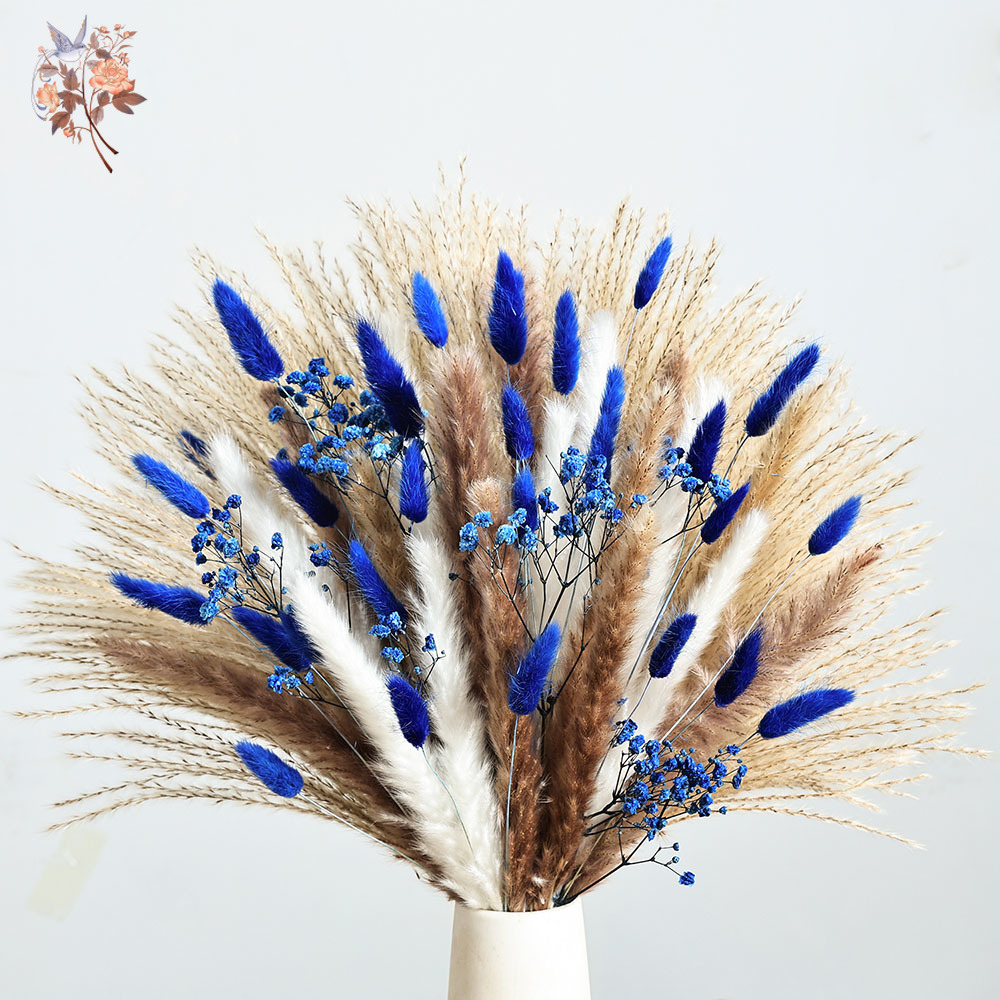 70 Stem Blue Fluffly Rabbit Ta - Dried Flower Bulk บทวิจารณ์และราคา