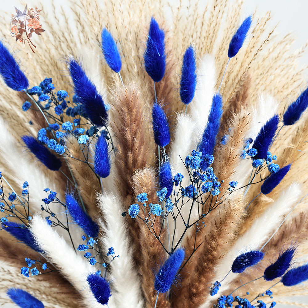 70 Stem Blue Fluffly Rabbit Ta - Dried Flower Bulk บทวิจารณ์และราคา