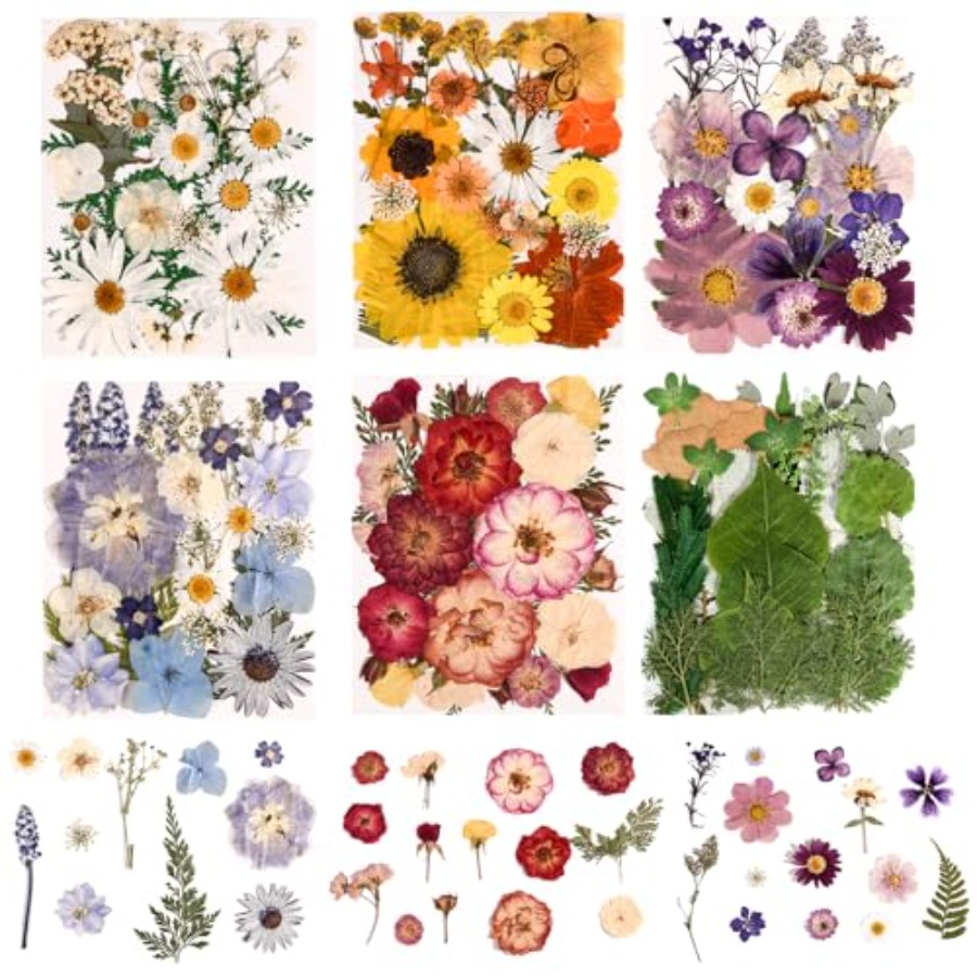 6 Pack 150PCS Real Pressed Dri - Resin Jewelry Kit บทวิจารณ์และราคา