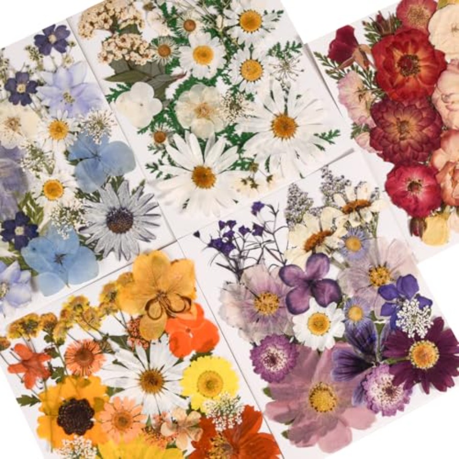 6 Pack 150PCS Real Pressed Dri - Resin Jewelry Kit บทวิจารณ์และราคา