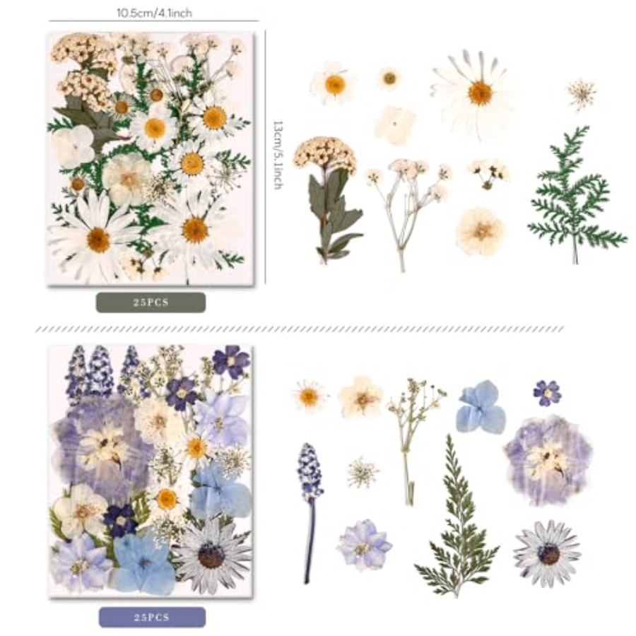 6 Pack 150PCS Real Pressed Dri - Resin Jewelry Kit บทวิจารณ์และราคา