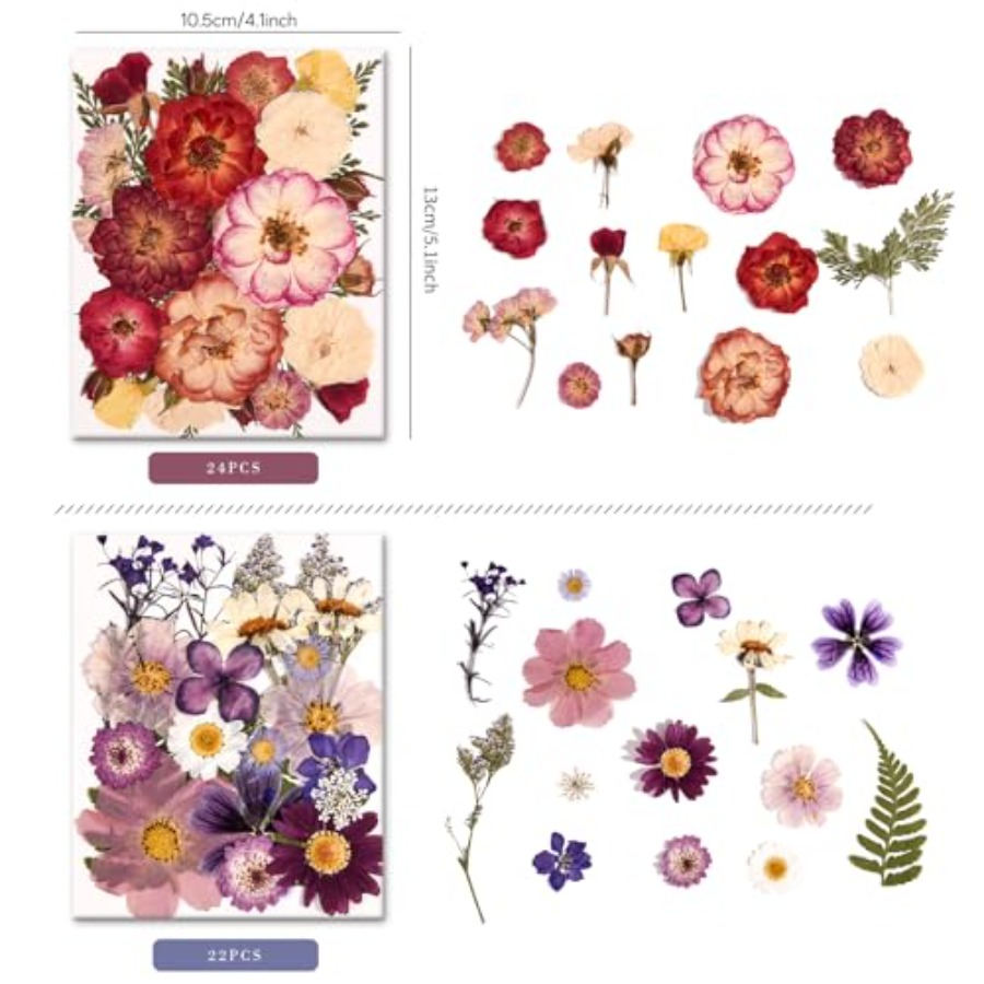 6 Pack 150PCS Real Pressed Dri - Resin Jewelry Kit บทวิจารณ์และราคา