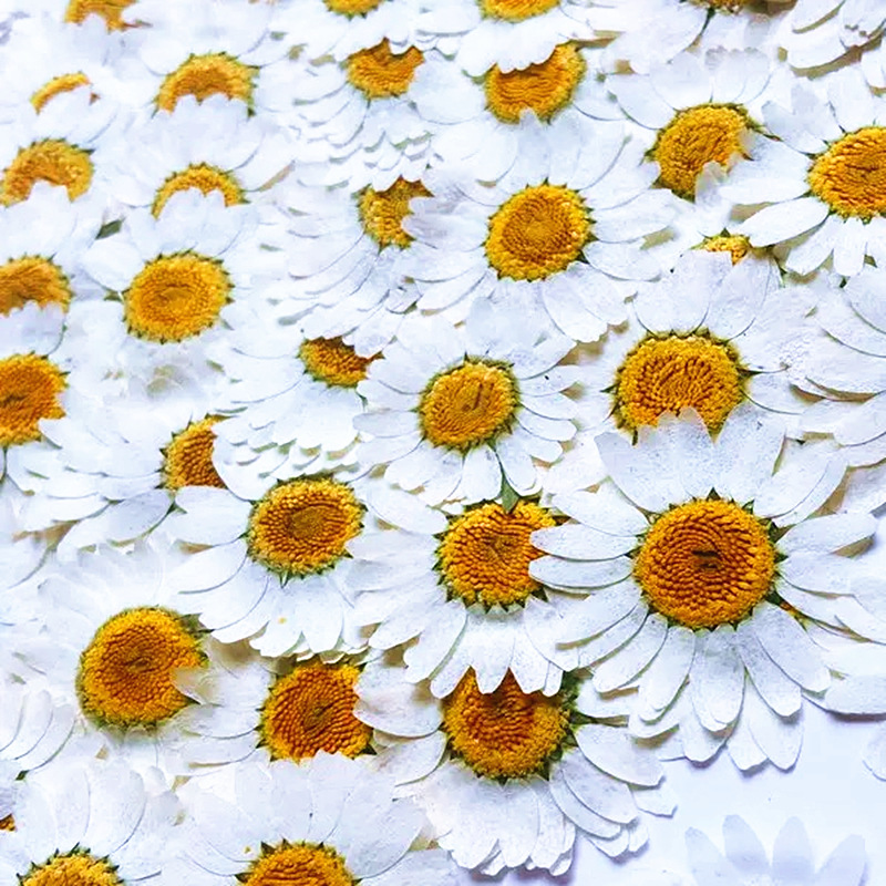 100Pcs Natural White Crystal C - Resin Craft Ideas บทวิจารณ์และราคา