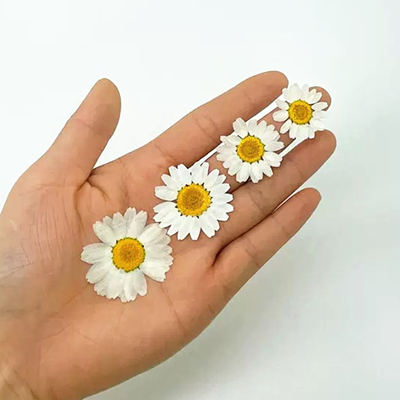 100Pcs Natural White Crystal C - Resin Craft Ideas บทวิจารณ์และราคา