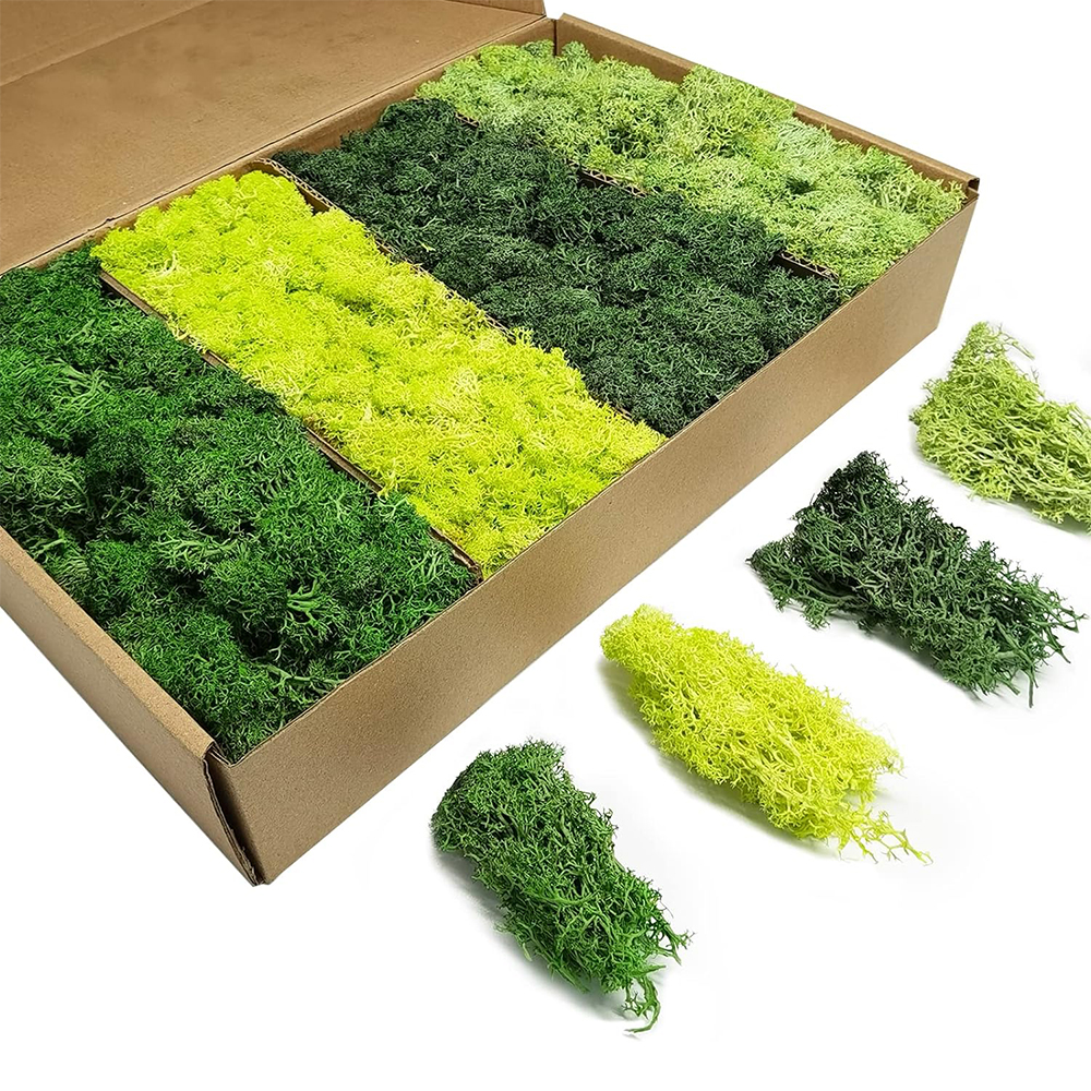 Artificial Green Plants Eterna - Terrarium Moss Art บทวิจารณ์และราคา