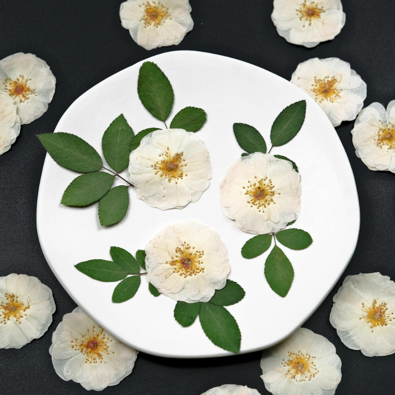 6pcs,9pcs,Nature White Rose Pr - Resin Craft Ideas บทวิจารณ์และราคา