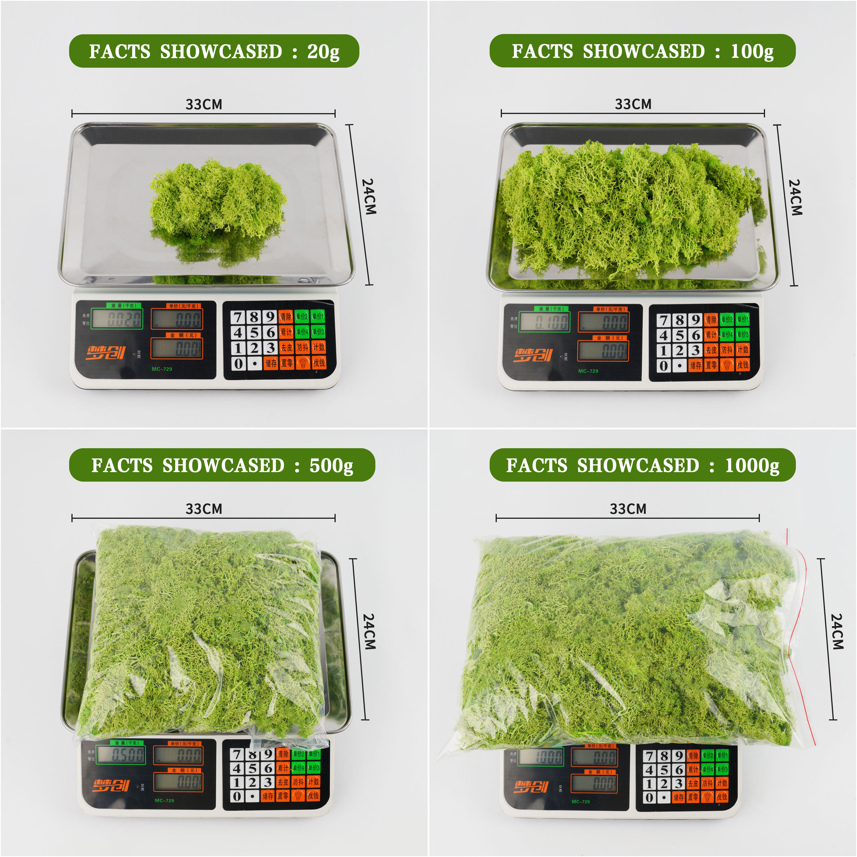 20/40/100g Eternal Life Moss D - Terrarium Moss Art บทวิจารณ์และราคา