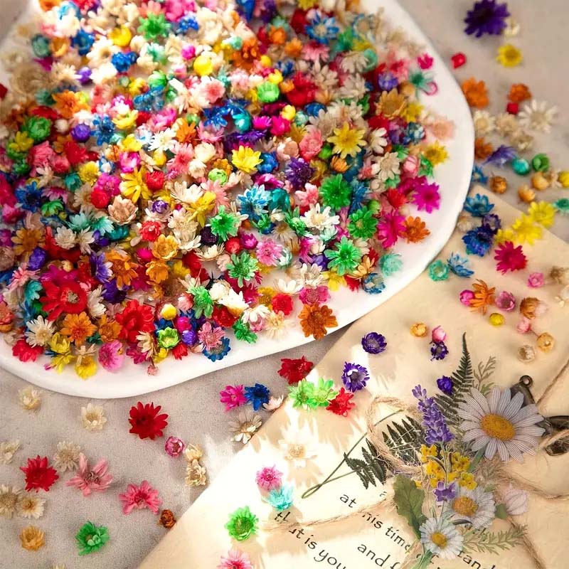 Mixed Colorful Flower for Wax  - Resin Crafts Diy บทวิจารณ์และราคา