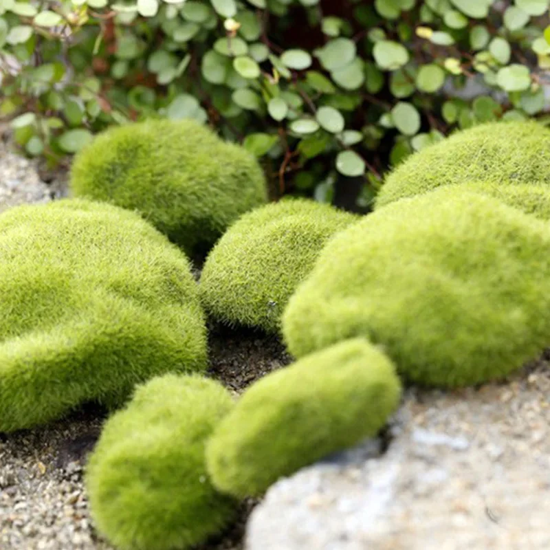 Fake Stone Artificial Moss Roc - Terrarium Moss Art บทวิจารณ์และราคา