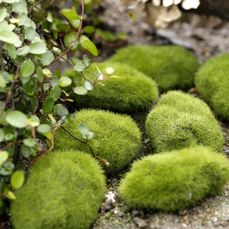 Fake Stone Artificial Moss Roc - Terrarium Moss Art บทวิจารณ์และราคา