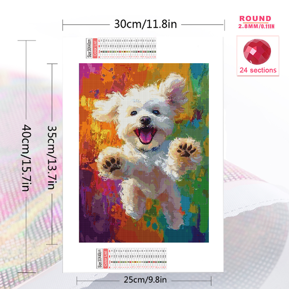Momoart DIY Diamond Painting D - Resin Craft For Beginners บทวิจารณ์และราคา