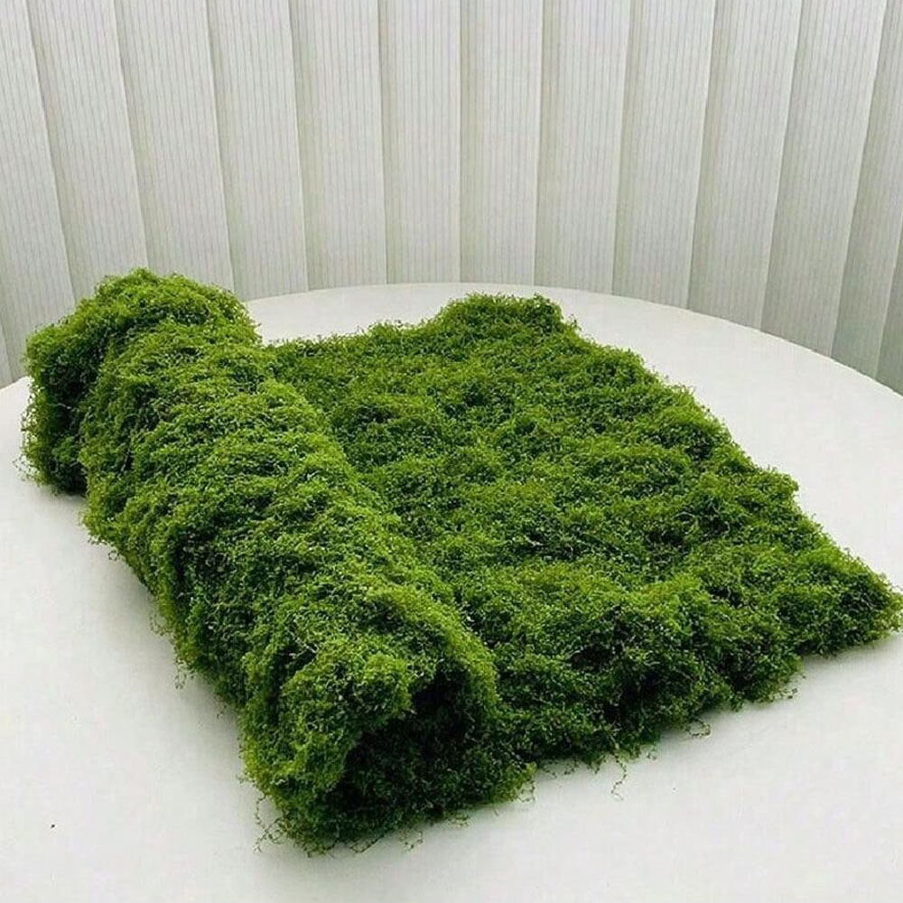 1*1m Fake Moss DIY Crafts Gras - Terrarium Moss Art บทวิจารณ์และราคา
