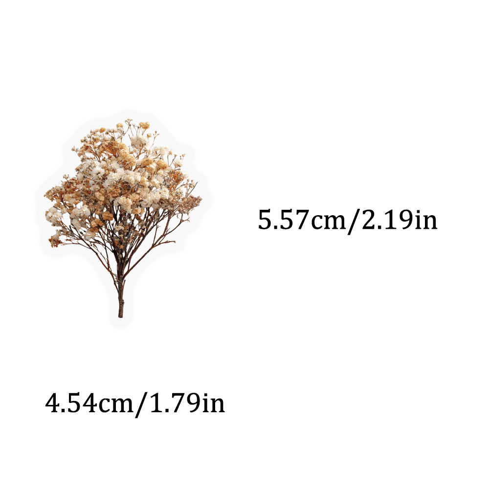 50PCS Retro Color Dried Flower - Dried Flower Bulk บทวิจารณ์และราคา