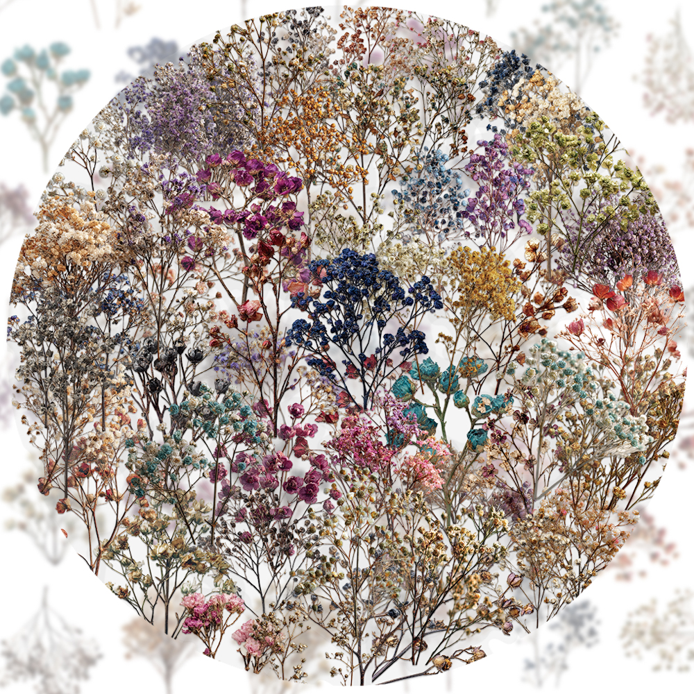 50PCS Retro Color Dried Flower - Dried Flower Bulk บทวิจารณ์และราคา