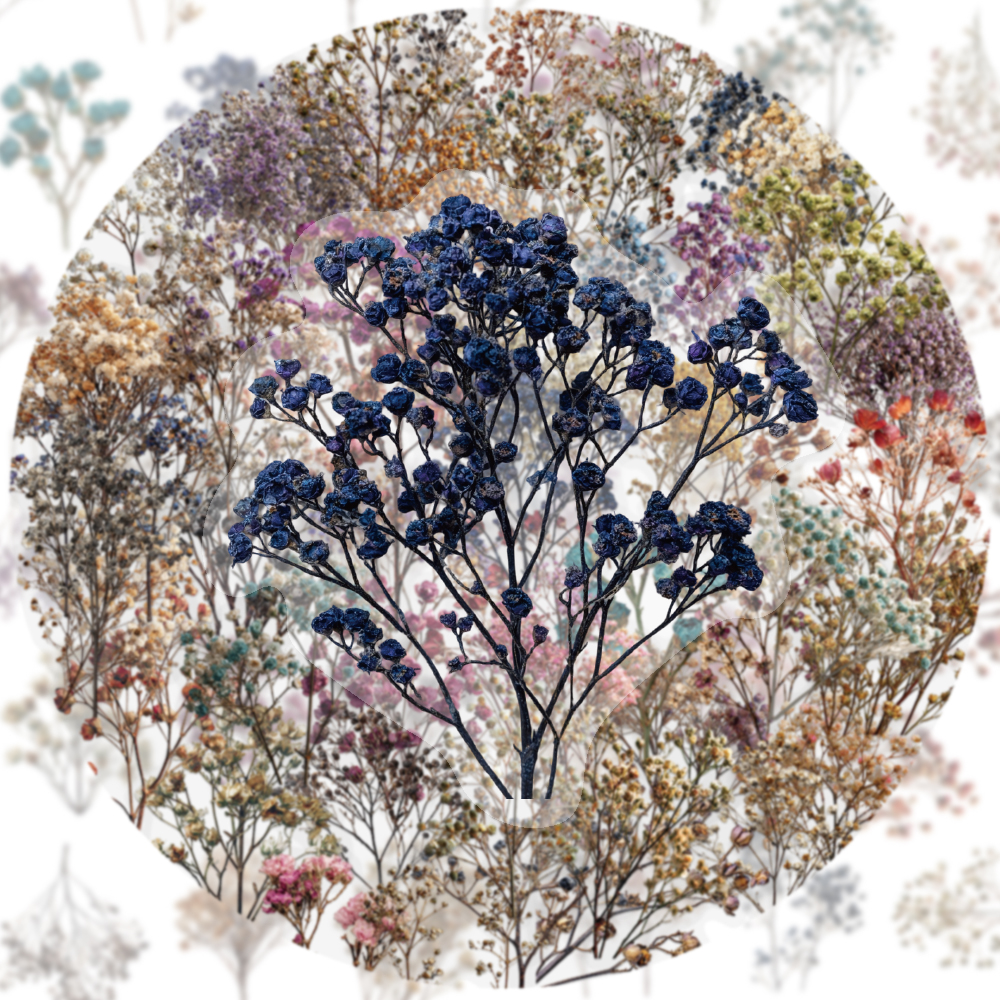 50PCS Retro Color Dried Flower - Dried Flower Bulk บทวิจารณ์และราคา
