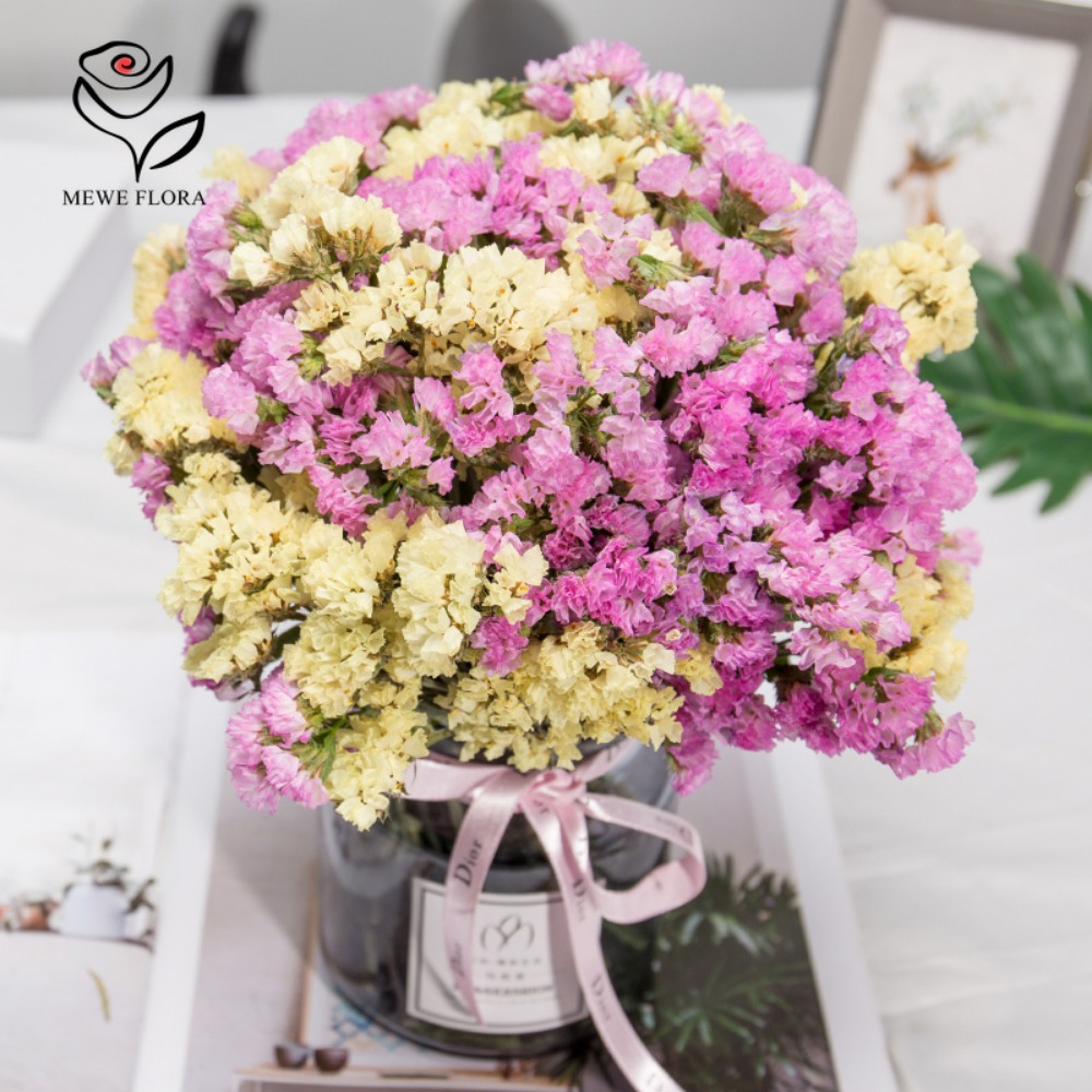 100g Dried Forget Me Not Flowe - Dried Flower Bulk บทวิจารณ์และราคา