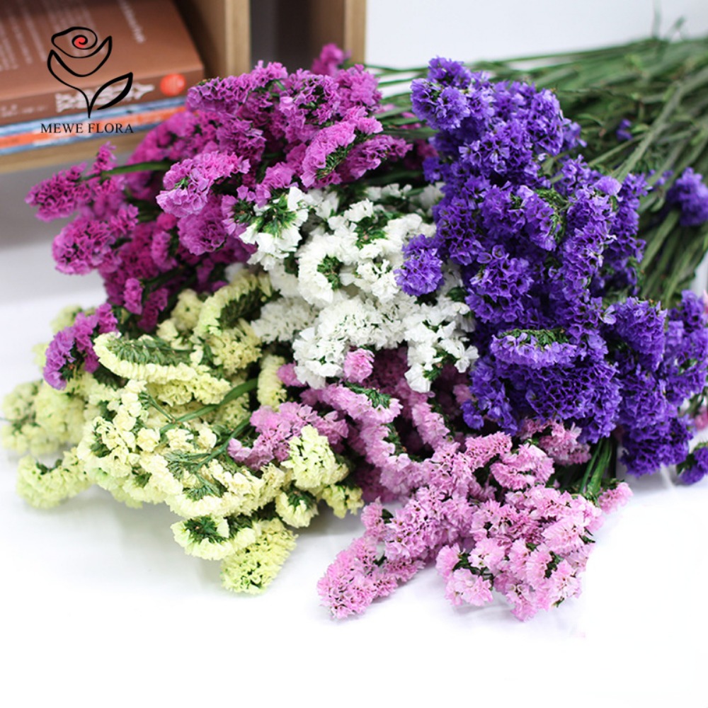 100g Dried Forget Me Not Flowe - Dried Flower Bulk บทวิจารณ์และราคา