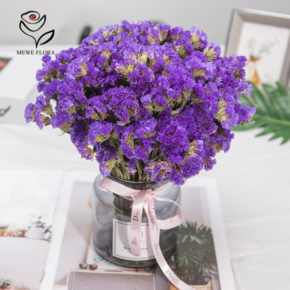100g Dried Forget Me Not Flowe - Dried Flower Bulk บทวิจารณ์และราคา