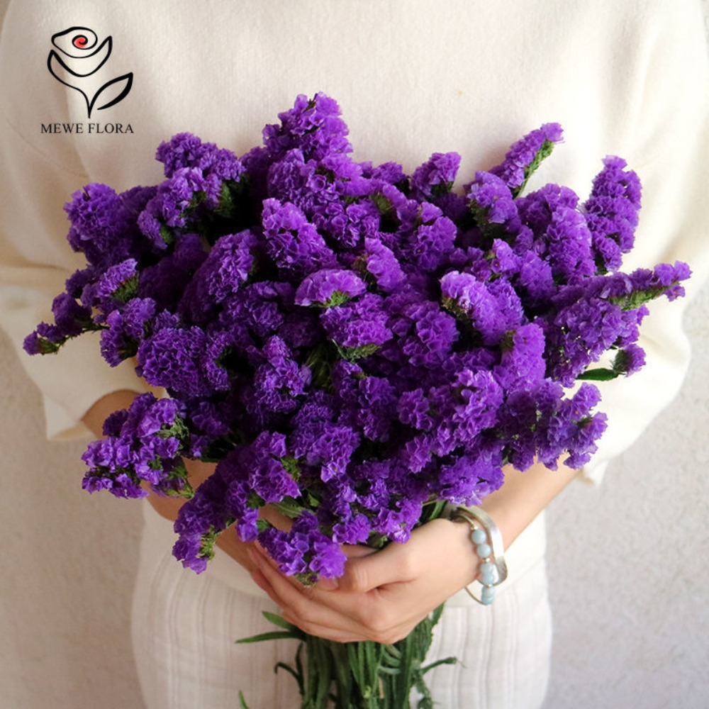 100g Dried Forget Me Not Flowe - Dried Flower Bulk บทวิจารณ์และราคา