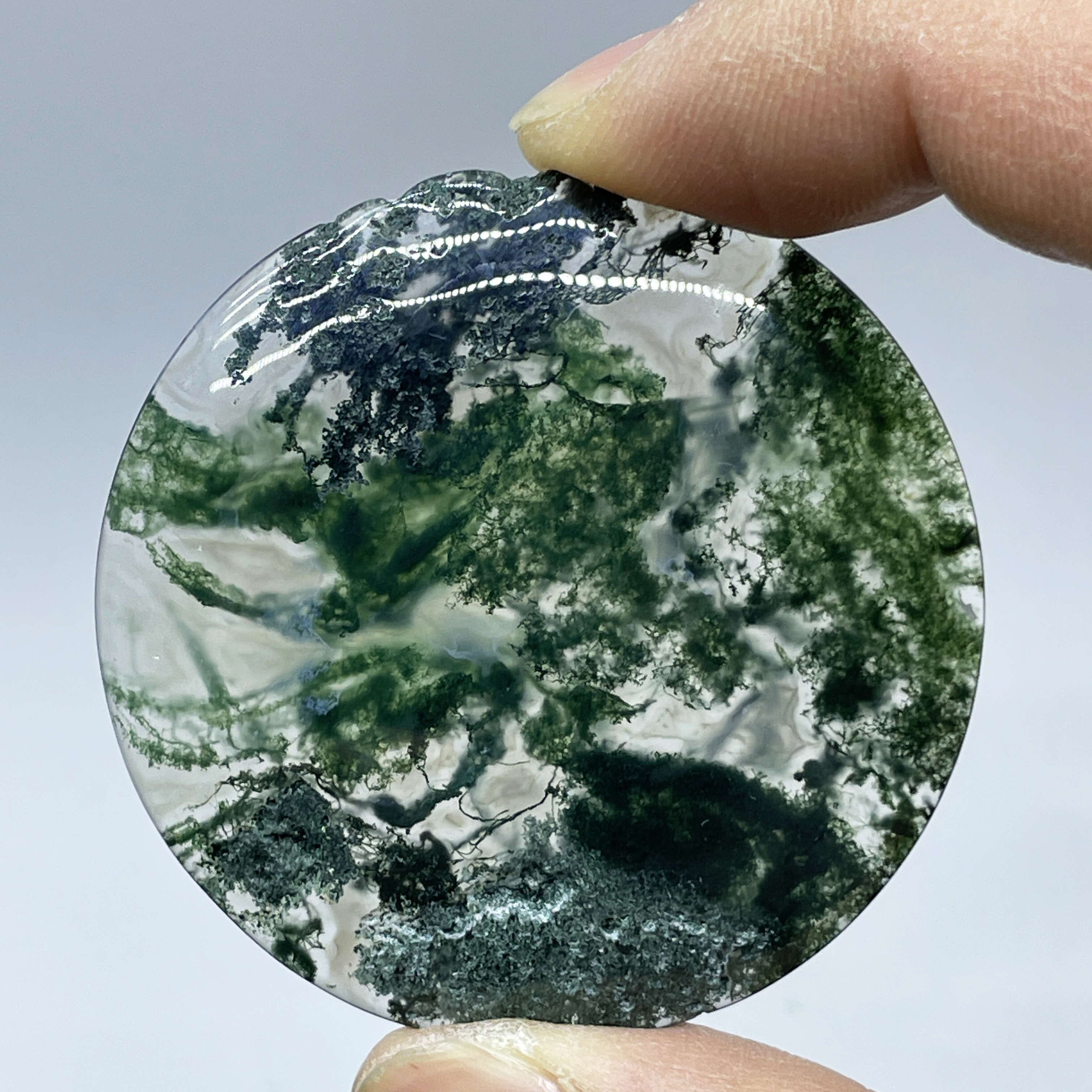 Natural Crystal Moss Agate Wat - Terrarium Moss Art บทวิจารณ์และราคา