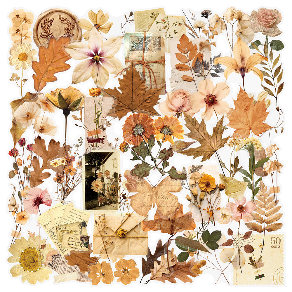 10/30/50pcs Transparent Dried  - Dried Flower Bulk บทวิจารณ์และราคา
