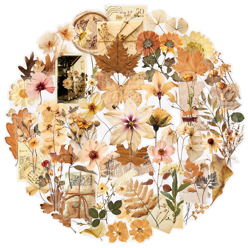 10/30/50pcs Transparent Dried  - Dried Flower Bulk บทวิจารณ์และราคา