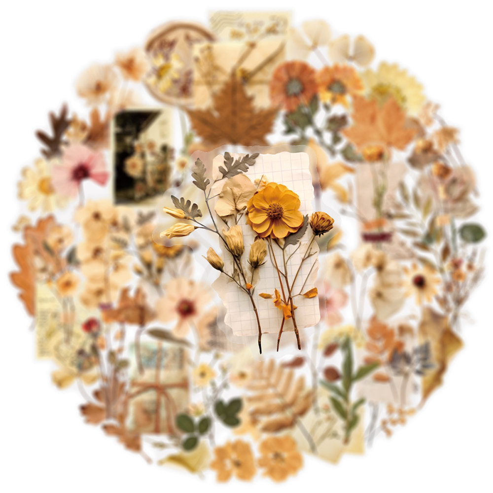 10/30/50pcs Transparent Dried  - Dried Flower Bulk บทวิจารณ์และราคา